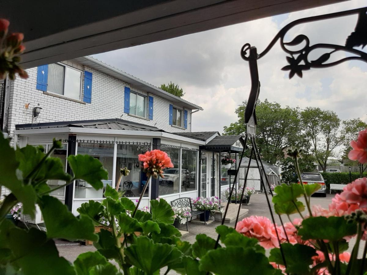 Motel Blue Moon Niagara Falls